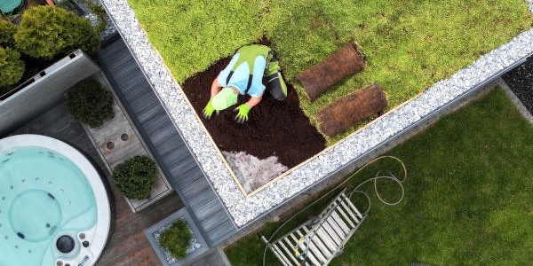 Dachy zielone - ekologiczna rewolucja w miejskiej architekturze dzięki swissporGREEN System Dachy zielone - ekologiczna rewolucja w miejskiej architekturze dzięki swissporGREEN System